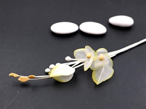 50272 BOX144 FIORE**************