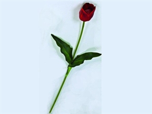 KTZ18 TULIPANO ROSSO 65cm LATTICE