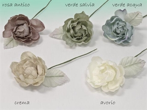 30022 R PEONIA SINGOLA GRANDE cm 9  ROSA 12xSC