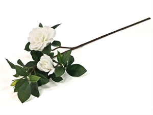 GI003 GARDENIA BIANCA 80cm