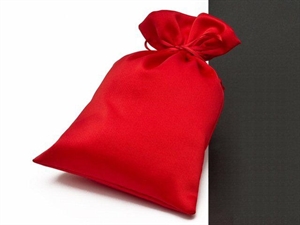 3857G 08 SACCHETTO RASO 17x23cm ROSSO 10xSC