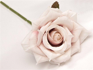 CK9054OLD ROSA TESSUTO 8cm ROSA ANTICO 36xSC