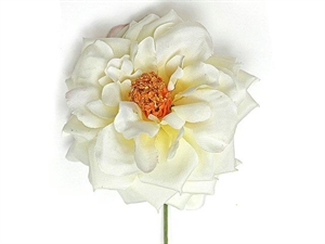 L2117BG ROSA SPRAY BEIGE 11cm (AS5218) 24xSC