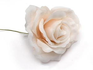 FB2205-27 ROSA APERTA CIPRIA 7cm 60xSC