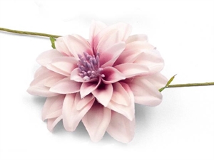 SC039RA DALIA ROSA ANTICO Ø9cm 36xSC