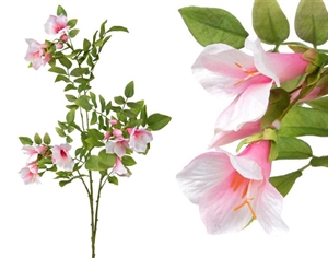 FV031 DIPLADENIA CON FIORI 82cm AVORIO/ROSA