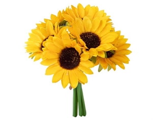 GG008 BOUQUET GIRASOLE 22cm