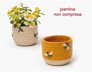 C4802 PORTAPIANTINA MIELE A ROMBI 7,5x6cm ASS/2xsc.